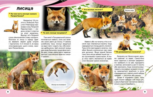 енциклопедія мами та малюки тигр книга    серія енциклопедія у запитаннях та ві Ціна (цена) 75.50грн. | придбати  купити (купить) енциклопедія мами та малюки тигр книга    серія енциклопедія у запитаннях та ві доставка по Украине, купить книгу, детские игрушки, компакт диски 3