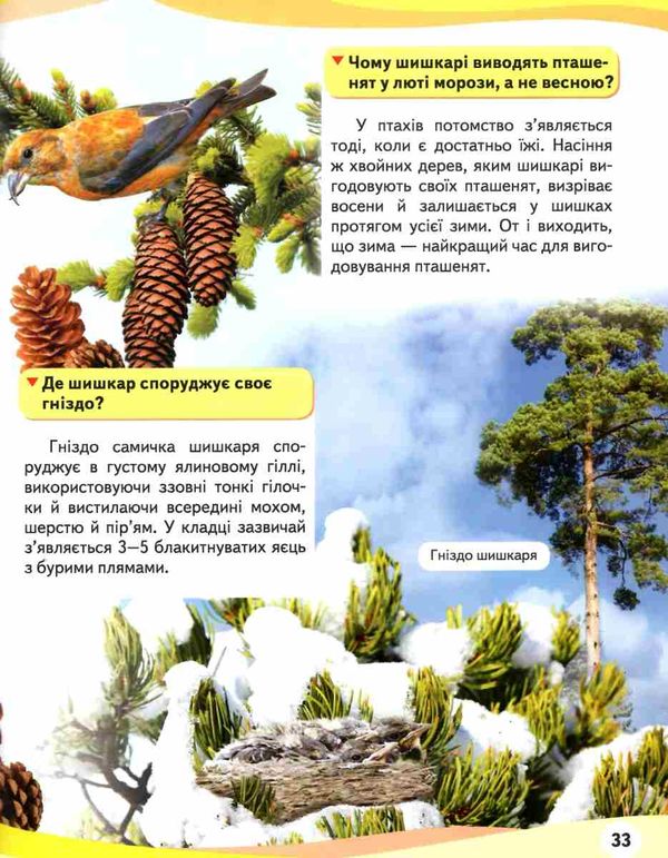енциклопедія мами та малюки тигр книга    серія енциклопедія у запитаннях та ві Ціна (цена) 73.80грн. | придбати  купити (купить) енциклопедія мами та малюки тигр книга    серія енциклопедія у запитаннях та ві доставка по Украине, купить книгу, детские игрушки, компакт диски 5