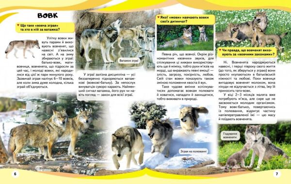 енциклопедія мами та малюки тигр книга    серія енциклопедія у запитаннях та ві Ціна (цена) 75.50грн. | придбати  купити (купить) енциклопедія мами та малюки тигр книга    серія енциклопедія у запитаннях та ві доставка по Украине, купить книгу, детские игрушки, компакт диски 2