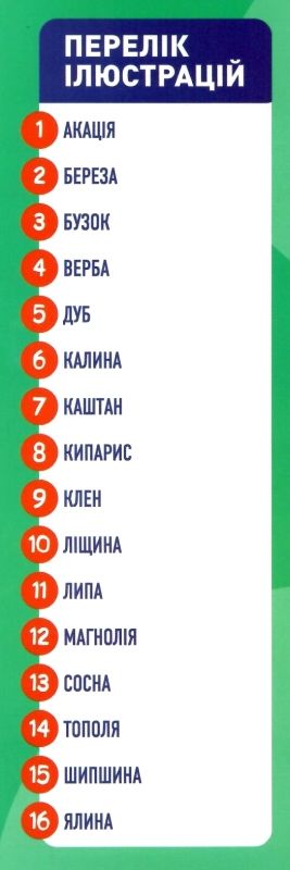 демонстраційний матеріал розповімо дітям про дерева та кущі Ціна (цена) 102.90грн. | придбати  купити (купить) демонстраційний матеріал розповімо дітям про дерева та кущі доставка по Украине, купить книгу, детские игрушки, компакт диски 2