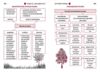 Перший довідник учня 1-4 класи НУШ Ціна (цена) 107.25грн. | придбати  купити (купить) Перший довідник учня 1-4 класи НУШ доставка по Украине, купить книгу, детские игрушки, компакт диски 4