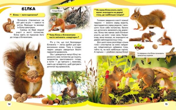 енциклопедія мами та малюки ведмідь книга    серія енциклопедія у запитаннях і Ціна (цена) 75.50грн. | придбати  купити (купить) енциклопедія мами та малюки ведмідь книга    серія енциклопедія у запитаннях і доставка по Украине, купить книгу, детские игрушки, компакт диски 4