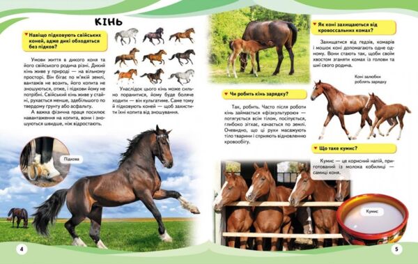 енциклопедія мами та малюки ведмідь книга    серія енциклопедія у запитаннях і Ціна (цена) 75.50грн. | придбати  купити (купить) енциклопедія мами та малюки ведмідь книга    серія енциклопедія у запитаннях і доставка по Украине, купить книгу, детские игрушки, компакт диски 2