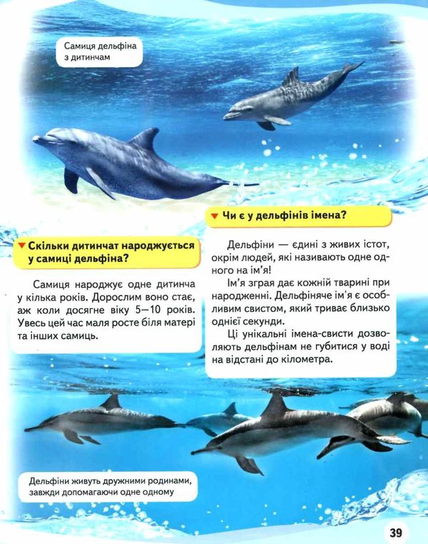 енциклопедія мами та малюки ведмідь книга    серія енциклопедія у запитаннях і Ціна (цена) 73.80грн. | придбати  купити (купить) енциклопедія мами та малюки ведмідь книга    серія енциклопедія у запитаннях і доставка по Украине, купить книгу, детские игрушки, компакт диски 7