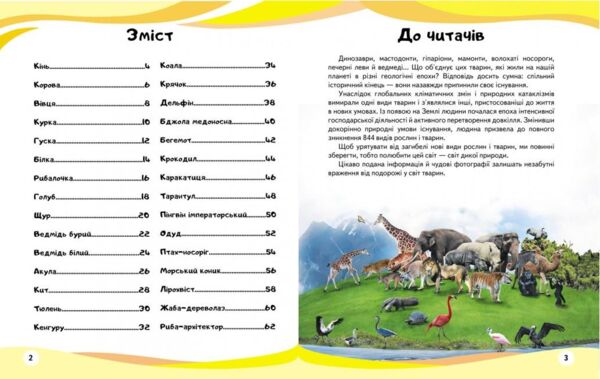 енциклопедія мами та малюки ведмідь книга    серія енциклопедія у запитаннях і Ціна (цена) 75.50грн. | придбати  купити (купить) енциклопедія мами та малюки ведмідь книга    серія енциклопедія у запитаннях і доставка по Украине, купить книгу, детские игрушки, компакт диски 1