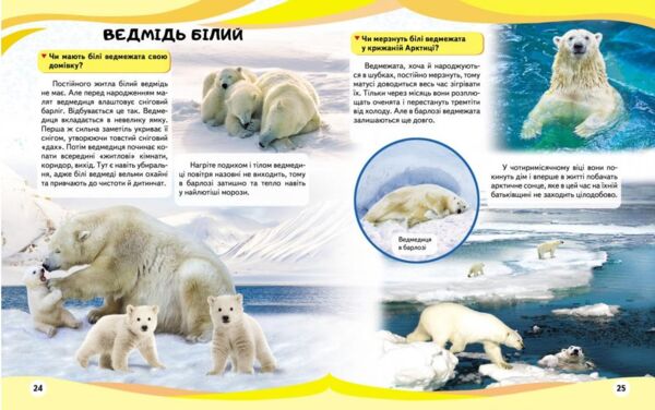 енциклопедія мами та малюки ведмідь книга    серія енциклопедія у запитаннях і Ціна (цена) 75.50грн. | придбати  купити (купить) енциклопедія мами та малюки ведмідь книга    серія енциклопедія у запитаннях і доставка по Украине, купить книгу, детские игрушки, компакт диски 5