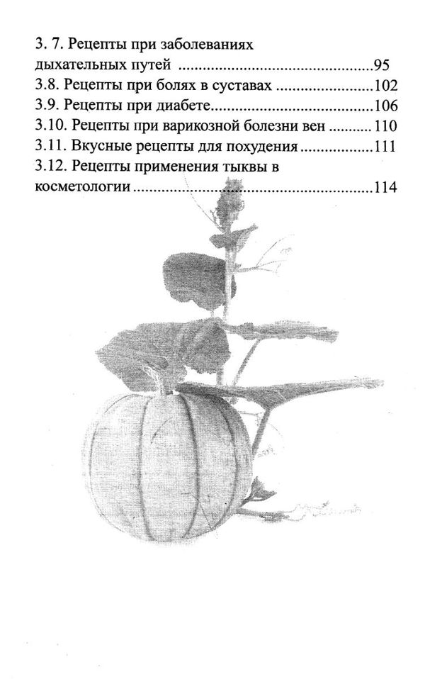 лечимся тыквой Ціна (цена) 90.40грн. | придбати  купити (купить) лечимся тыквой доставка по Украине, купить книгу, детские игрушки, компакт диски 6
