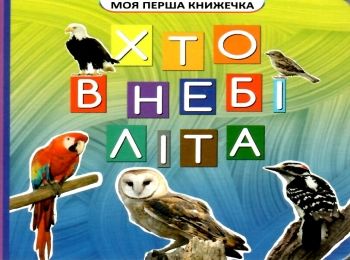 хто в небі літа моя перша книжечка книжка картонка    "Джамбі" хто в небі літа моя перша книжечка книжка картонка    "Джамбі"