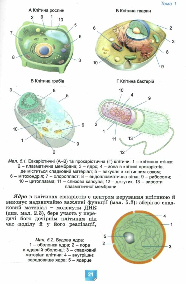 біологія 7 клас підручник нуш Ціна (цена) 348.00грн. | придбати  купити (купить) біологія 7 клас підручник нуш доставка по Украине, купить книгу, детские игрушки, компакт диски 7