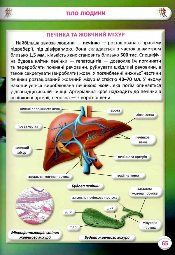 усе про тіло людини 1000 цікавих фактів книга Ціна (цена) 297.90грн. | придбати  купити (купить) усе про тіло людини 1000 цікавих фактів книга доставка по Украине, купить книгу, детские игрушки, компакт диски 9