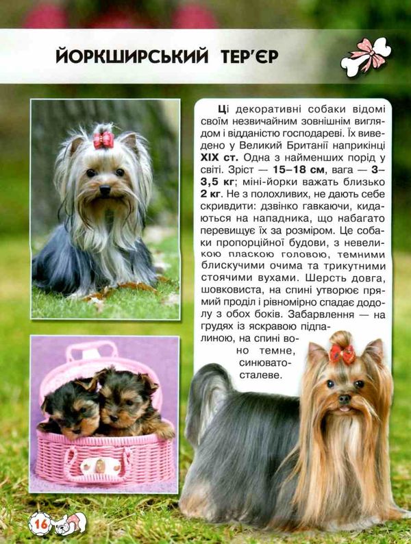 світ навколо нас собаки книга Ціна (цена) 146.00грн. | придбати  купити (купить) світ навколо нас собаки книга доставка по Украине, купить книгу, детские игрушки, компакт диски 6
