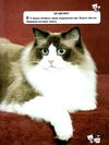світ навколо нас кішки книга Ціна (цена) 161.00грн. | придбати  купити (купить) світ навколо нас кішки книга доставка по Украине, купить книгу, детские игрушки, компакт диски 6