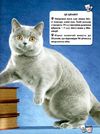світ навколо нас кішки книга Ціна (цена) 161.00грн. | придбати  купити (купить) світ навколо нас кішки книга доставка по Украине, купить книгу, детские игрушки, компакт диски 4