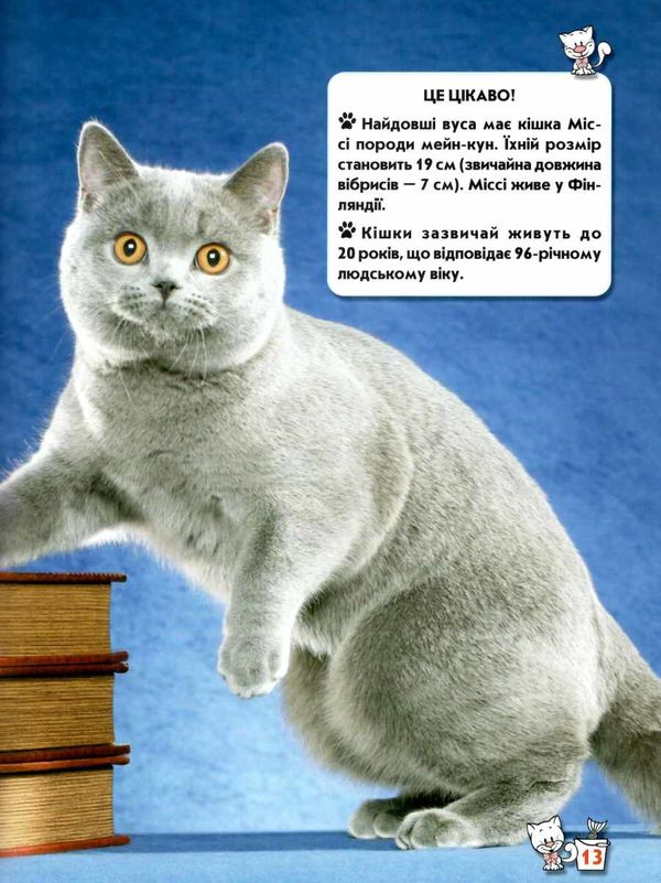 світ навколо нас кішки книга Ціна (цена) 161.00грн. | придбати  купити (купить) світ навколо нас кішки книга доставка по Украине, купить книгу, детские игрушки, компакт диски 4