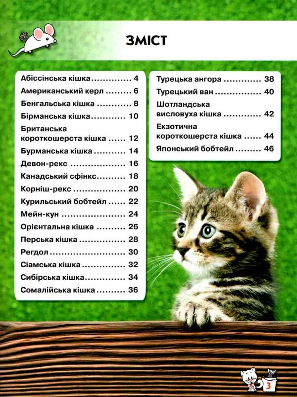 світ навколо нас кішки книга Ціна (цена) 146.00грн. | придбати  купити (купить) світ навколо нас кішки книга доставка по Украине, купить книгу, детские игрушки, компакт диски 2