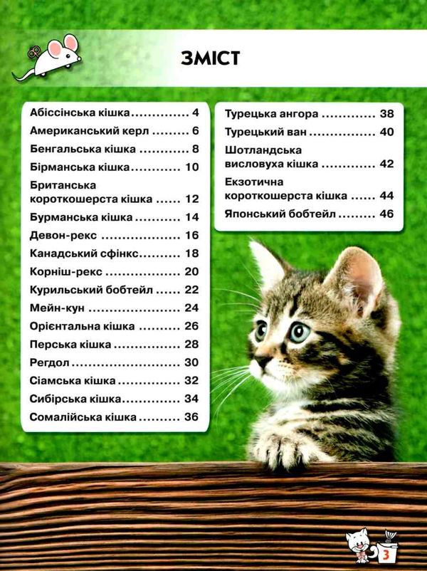 світ навколо нас кішки книга Ціна (цена) 161.00грн. | придбати  купити (купить) світ навколо нас кішки книга доставка по Украине, купить книгу, детские игрушки, компакт диски 2