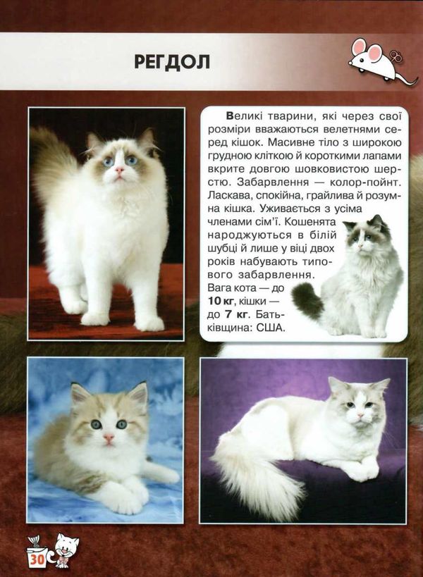 світ навколо нас кішки книга Ціна (цена) 161.00грн. | придбати  купити (купить) світ навколо нас кішки книга доставка по Украине, купить книгу, детские игрушки, компакт диски 5