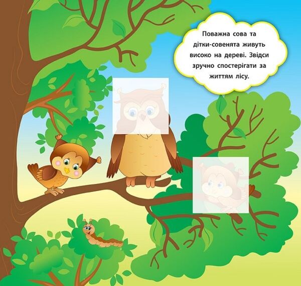 наліпки-розвивалки хто живе в лісі книга Ціна (цена) 32.90грн. | придбати  купити (купить) наліпки-розвивалки хто живе в лісі книга доставка по Украине, купить книгу, детские игрушки, компакт диски 3