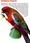 велика книжка папуги Ціна (цена) 34.60грн. | придбати  купити (купить) велика книжка папуги доставка по Украине, купить книгу, детские игрушки, компакт диски 3