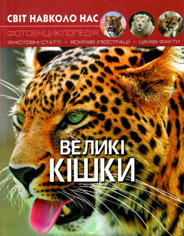 світ навколо нас великі кішки книга Ціна (цена) 146.00грн. | придбати  купити (купить) світ навколо нас великі кішки книга доставка по Украине, купить книгу, детские игрушки, компакт диски 0