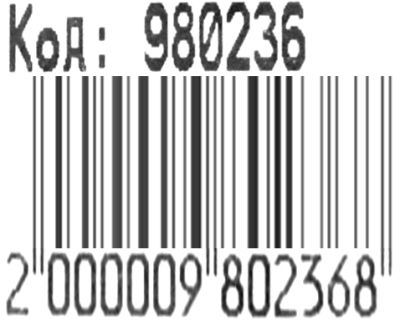 Рюкзак Leader 980236 California Print 40х27х13см 1від, 1карман Ціна (цена) 148.00грн. | придбати  купити (купить) Рюкзак Leader 980236 California Print 40х27х13см 1від, 1карман доставка по Украине, купить книгу, детские игрушки, компакт диски 2