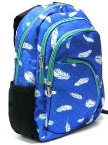 рюкзак ортопедичний    Leader 982003 блакитний з пір'ям (38х28х16см)
