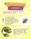 чомусики комахи запитання та відповіді книга Ціна (цена) 34.30грн. | придбати  купити (купить) чомусики комахи запитання та відповіді книга доставка по Украине, купить книгу, детские игрушки, компакт диски 5