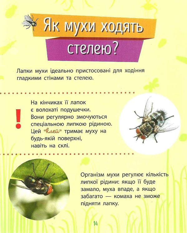 чомусики комахи запитання та відповіді книга Ціна (цена) 34.30грн. | придбати  купити (купить) чомусики комахи запитання та відповіді книга доставка по Украине, купить книгу, детские игрушки, компакт диски 5
