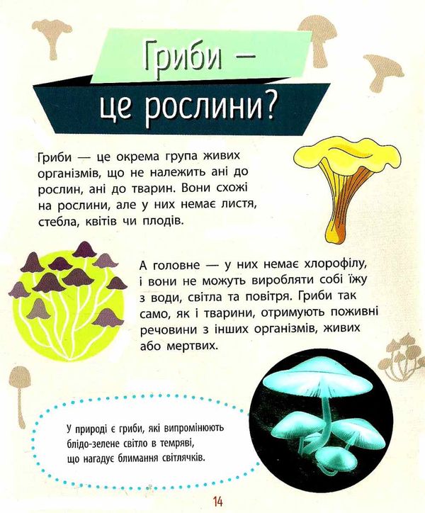 чомусики рослини запитання та відповіді книга уточнюйте наявність Ціна (цена) 37.90грн. | придбати  купити (купить) чомусики рослини запитання та відповіді книга уточнюйте наявність доставка по Украине, купить книгу, детские игрушки, компакт диски 5