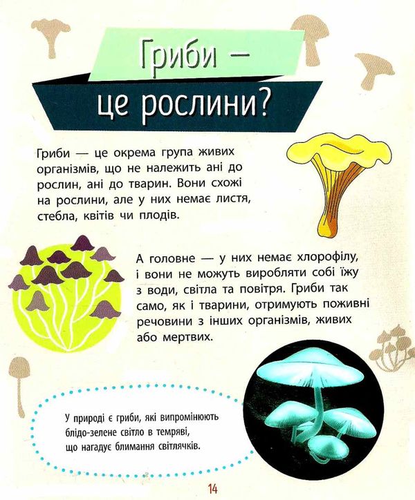 чомусики рослини запитання та відповіді книга Ціна (цена) 35.30грн. | придбати  купити (купить) чомусики рослини запитання та відповіді книга доставка по Украине, купить книгу, детские игрушки, компакт диски 5