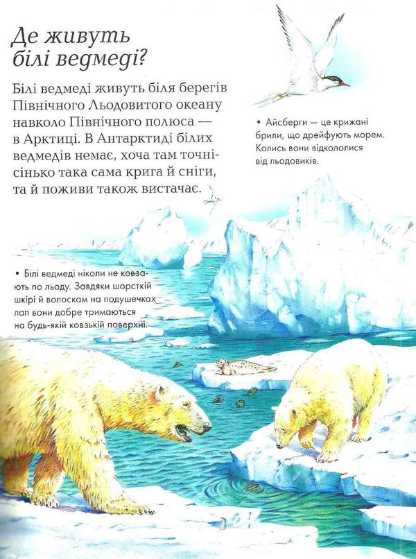 енциклопедія хочу все знати Ціна (цена) 263.00грн. | придбати  купити (купить) енциклопедія хочу все знати доставка по Украине, купить книгу, детские игрушки, компакт диски 4