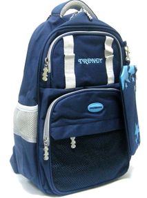 Рюкзак CFS 86537 школьний "Trendy" Blue 38х30х14см Рюкзак CFS 86537 школьний "Trendy" Blue 38х30х14см