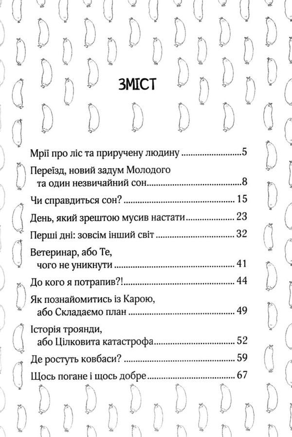 палаш ключик до ельфа книга Ціна (цена) 89.60грн. | придбати  купити (купить) палаш ключик до ельфа книга доставка по Украине, купить книгу, детские игрушки, компакт диски 3
