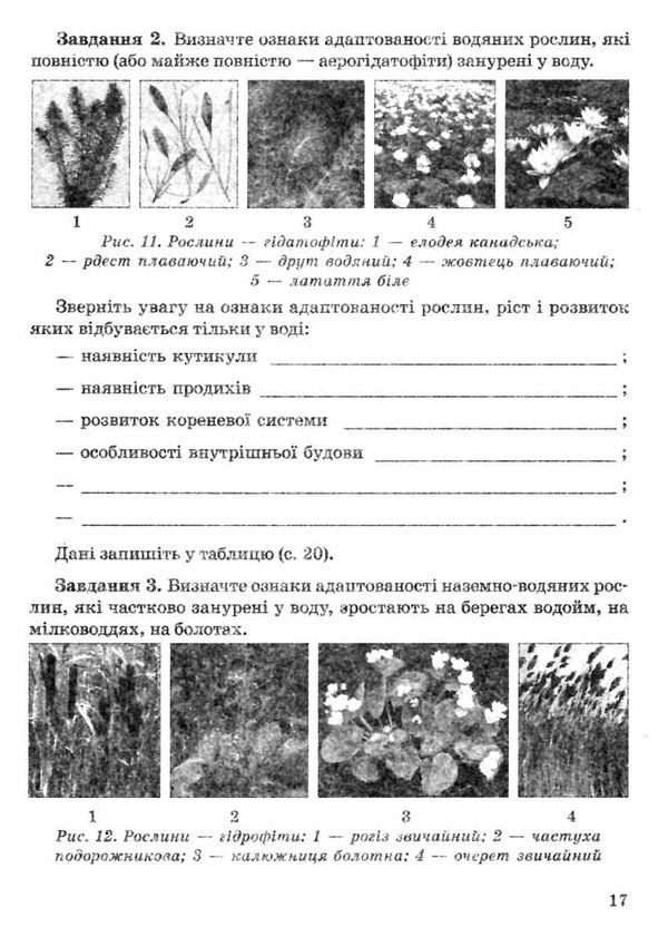 тест-контроль 11 клас біологія і екологія рівень стандарту Весна Ціна (цена) 27.90грн. | придбати  купити (купить) тест-контроль 11 клас біологія і екологія рівень стандарту Весна доставка по Украине, купить книгу, детские игрушки, компакт диски 8