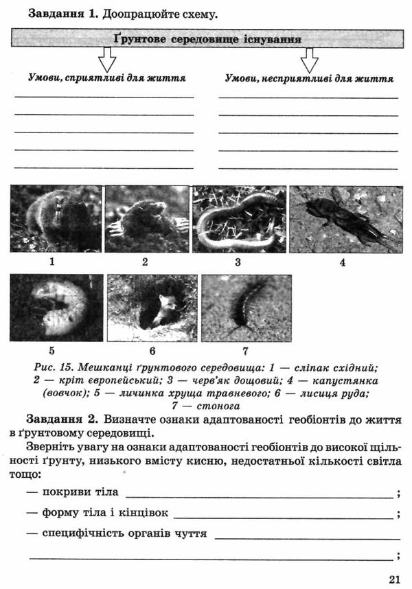 зошит з біології 11 клас для лабораторних і практичних робіт Сало Ціна (цена) 24.40грн. | придбати  купити (купить) зошит з біології 11 клас для лабораторних і практичних робіт Сало доставка по Украине, купить книгу, детские игрушки, компакт диски 4