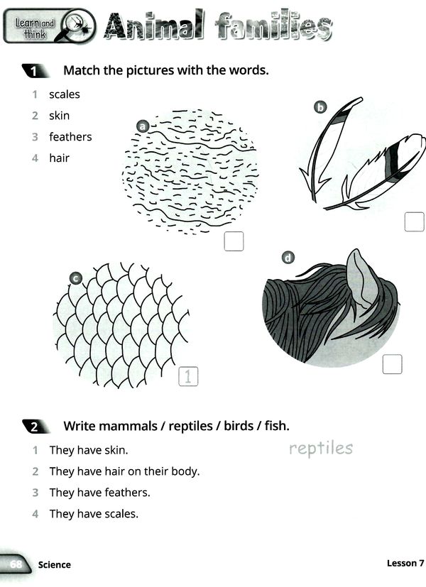 quick minds 2 activity book Ціна (цена) 160.00грн. | придбати  купити (купить) quick minds 2 activity book доставка по Украине, купить книгу, детские игрушки, компакт диски 4