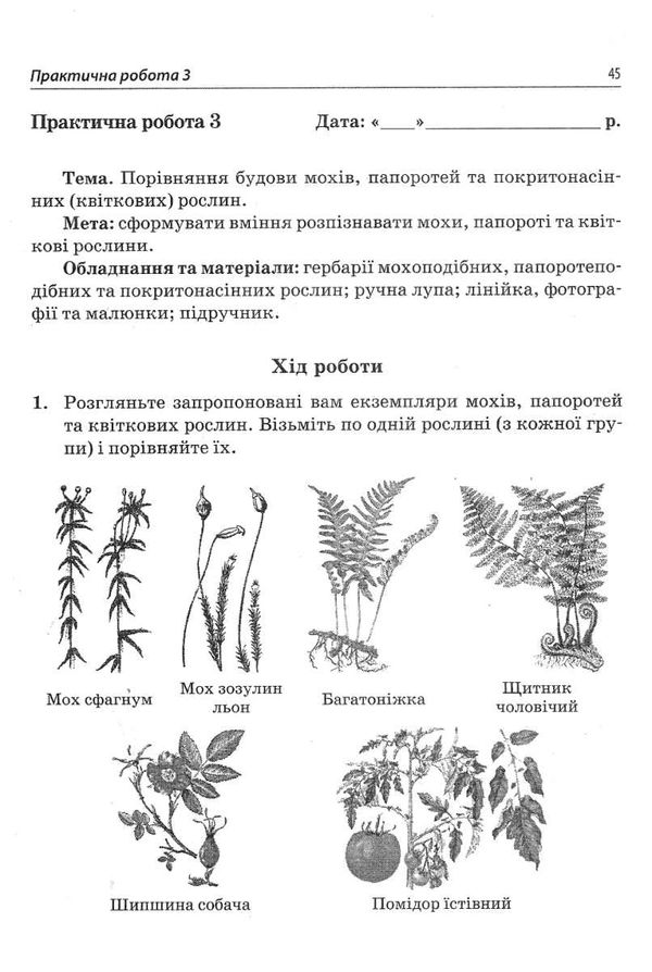 біологія 6 клас зошит  для дослідницького практикумулабораторних досліджень і практичн Ціна (цена) 21.60грн. | придбати  купити (купить) біологія 6 клас зошит  для дослідницького практикумулабораторних досліджень і практичн доставка по Украине, купить книгу, детские игрушки, компакт диски 4