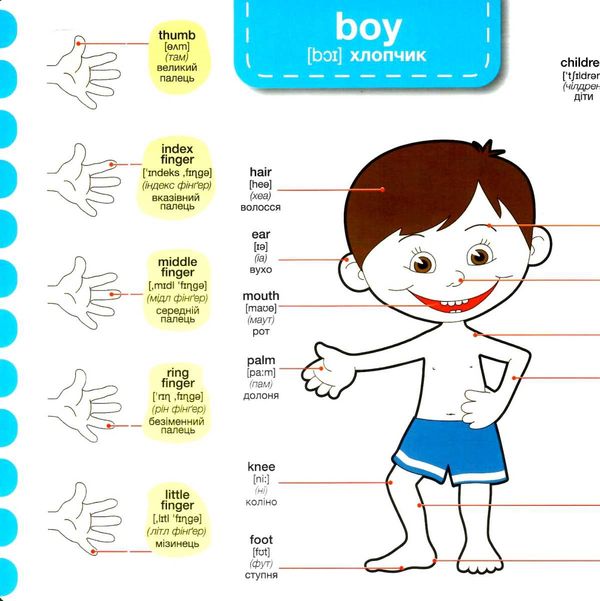 зазирни у віконце english людина тіло книга картонка купити body 65 віконець Ціна (цена) 90.40грн. | придбати  купити (купить) зазирни у віконце english людина тіло книга картонка купити body 65 віконець доставка по Украине, купить книгу, детские игрушки, компакт диски 2
