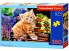 пазли castorland 180 елементів 018178 риже кошенятко Ціна (цена) 82.00грн. | придбати  купити (купить) пазли castorland 180 елементів 018178 риже кошенятко доставка по Украине, купить книгу, детские игрушки, компакт диски 0