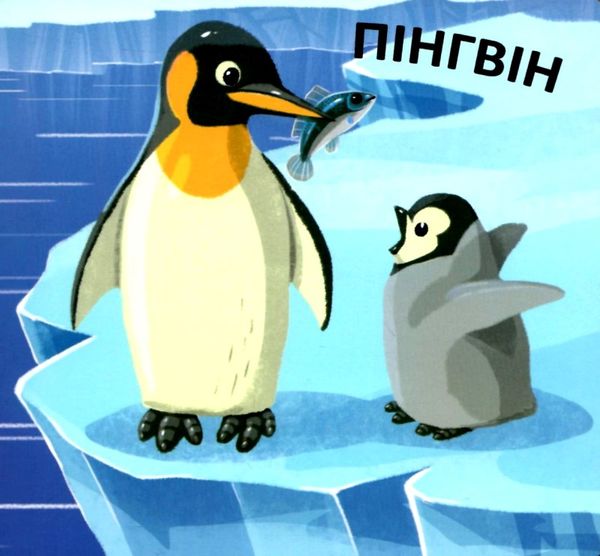 книжка-схованка з чарівними крилами чиї це лапки? книга     ЗНИЖКА Ціна (цена) 69.73грн. | придбати  купити (купить) книжка-схованка з чарівними крилами чиї це лапки? книга     ЗНИЖКА доставка по Украине, купить книгу, детские игрушки, компакт диски 4