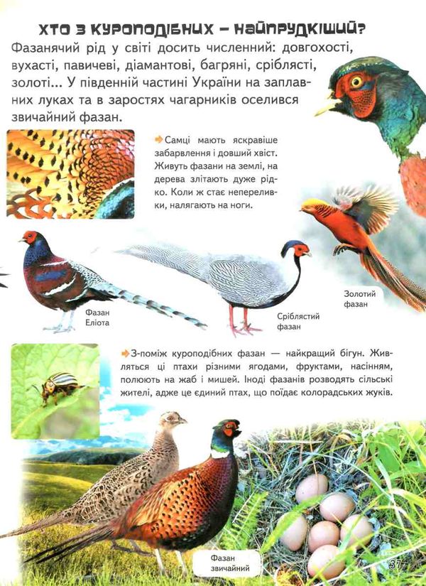 дивовижна енциклопедія тварин у запитаннях і відповідях книга 9789669473257 Ціна (цена) 354.17грн. | придбати  купити (купить) дивовижна енциклопедія тварин у запитаннях і відповідях книга 9789669473257 доставка по Украине, купить книгу, детские игрушки, компакт диски 10