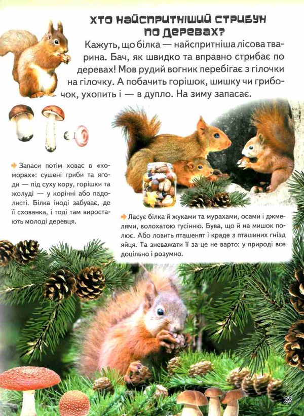 дивовижна енциклопедія тварин у запитаннях і відповідях книга 9789669473257 Ціна (цена) 354.17грн. | придбати  купити (купить) дивовижна енциклопедія тварин у запитаннях і відповідях книга 9789669473257 доставка по Украине, купить книгу, детские игрушки, компакт диски 9