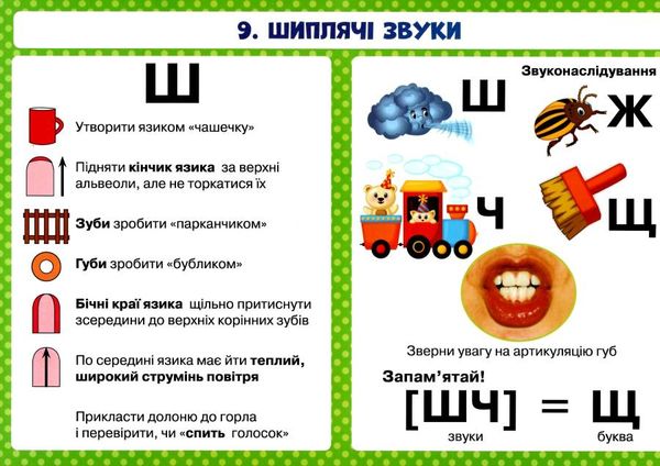 логопедичні таблиці органи мовлення. артикуляція звуків Ціна (цена) 245.50грн. | придбати  купити (купить) логопедичні таблиці органи мовлення. артикуляція звуків доставка по Украине, купить книгу, детские игрушки, компакт диски 4