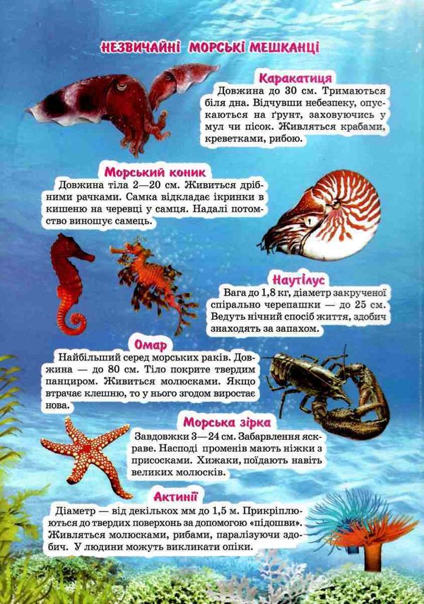Підводний світ Моя перша енциклопедія книжка картонка а4 Ціна (цена) 35.00грн. | придбати  купити (купить) Підводний світ Моя перша енциклопедія книжка картонка а4 доставка по Украине, купить книгу, детские игрушки, компакт диски 3