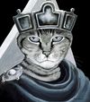 галерея котів кототека окультурених котів Ціна (цена) 504.00грн. | придбати  купити (купить) галерея котів кототека окультурених котів доставка по Украине, купить книгу, детские игрушки, компакт диски 5