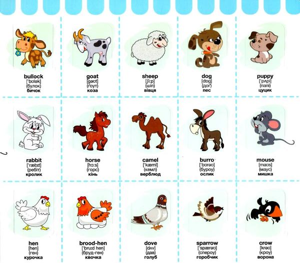 зазирни у віконце english тварини книга картонка купити animals 75 віконець Ціна (цена) 94.40грн. | придбати  купити (купить) зазирни у віконце english тварини книга картонка купити animals 75 віконець доставка по Украине, купить книгу, детские игрушки, компакт диски 3