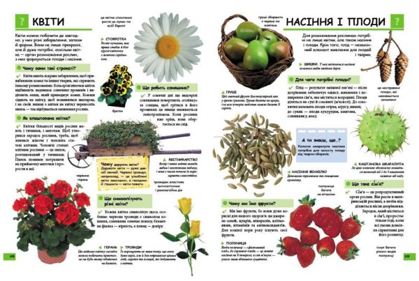 ілюстрована дитяча енциклопедія у запитаннях і відповідях Ціна (цена) 338.00грн. | придбати  купити (купить) ілюстрована дитяча енциклопедія у запитаннях і відповідях доставка по Украине, купить книгу, детские игрушки, компакт диски 4