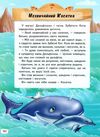 велика книга про тварин для малюків 9789669472540 Ціна (цена) 303.58грн. | придбати  купити (купить) велика книга про тварин для малюків 9789669472540 доставка по Украине, купить книгу, детские игрушки, компакт диски 6
