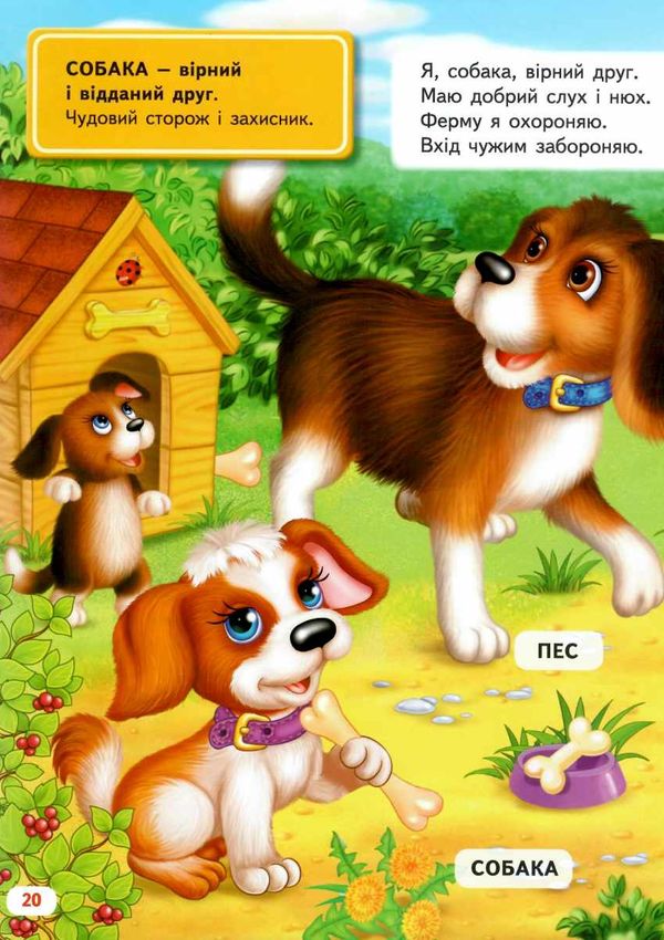 велика книга про тварин для малюків 9789669472540 Ціна (цена) 303.58грн. | придбати  купити (купить) велика книга про тварин для малюків 9789669472540 доставка по Украине, купить книгу, детские игрушки, компакт диски 4