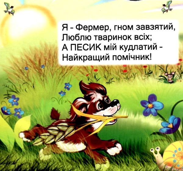 на фермі книжка-картонка    (серія ерудит) Смайл Ціна (цена) 30.80грн. | придбати  купити (купить) на фермі книжка-картонка    (серія ерудит) Смайл доставка по Украине, купить книгу, детские игрушки, компакт диски 2